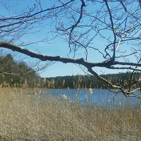 Beautiful In * Zerpenschleuse